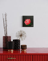 Bloom No. 002 in a room