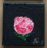 Bloom No. 003 close up