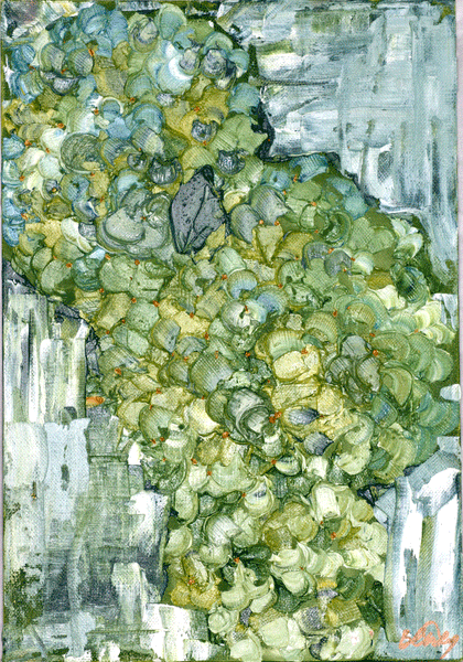 Heartfelt Hydrangea